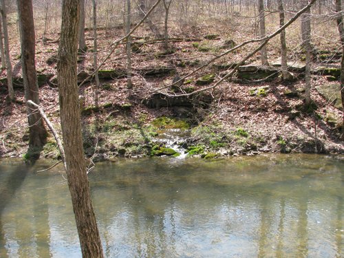 Property photo 32 - 137 Acres in 2 Tracts - 64 Tillable Acres, Potential Building Sites, Hunting
